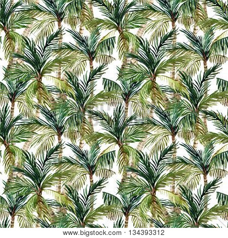 Watercolor palm tree seamless pattern. Tropical palm background. Hand painted illustration