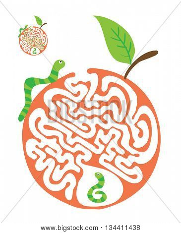 Maze puzzle for kids with caterpillars and apple. Labyrinth illustration, solution included.