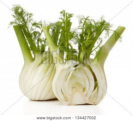 Fresh fennel bulb isolated on white background close up