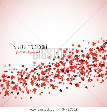 Wavy band made from red maple leaves. Fall is coming. Copy space. Background of autumn leaves. Momiji. Frame for text. Autumn concept. Vector illustration.