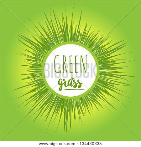 Realistic grass lawn isolated on greeen. Floral eco nature background. Organic food healthy food. Web vector illustration.