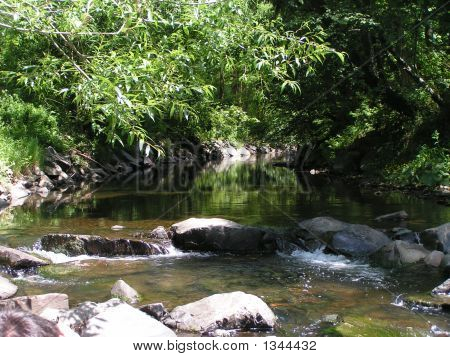 Creek