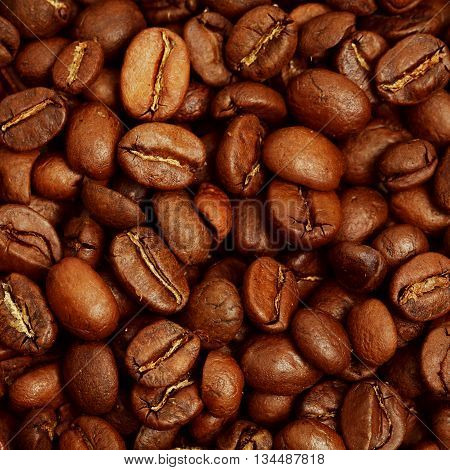 Some tasty gold Coffee beans background macro