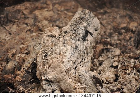 Ashes and dirt after the grilling and cooking