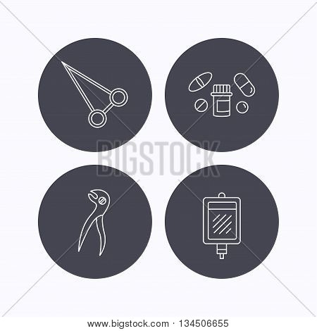 Medical pills, blood and dental pliers icons. Peans forceps linear sign. Flat icons in circle buttons on white background. Vector