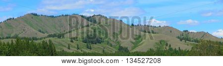 Not high relief mountain with trees and grass