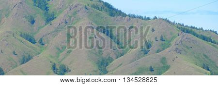 Not high relief mountain with trees and grass