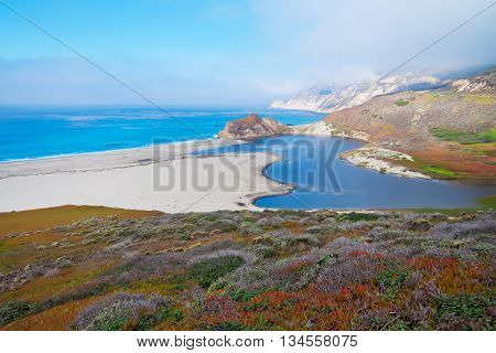 Amazing Seascape With Blue Pacific Ocean And Plants.