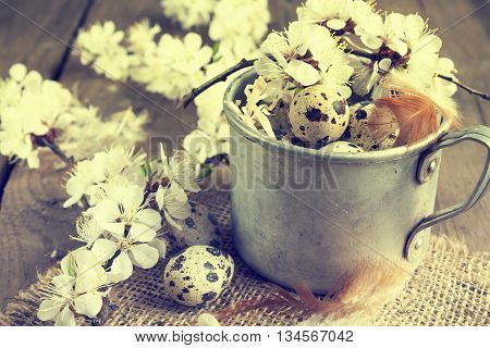 Quail Eggs, Branch Of Apricot Blossom And Feather
