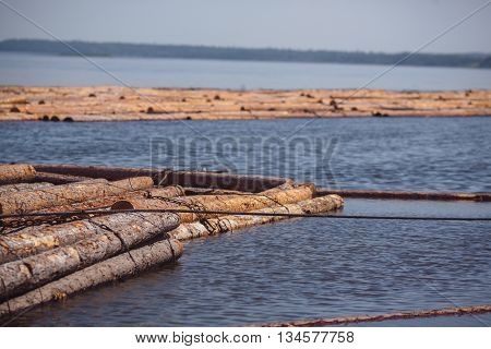 logs are floating on river in Siberia