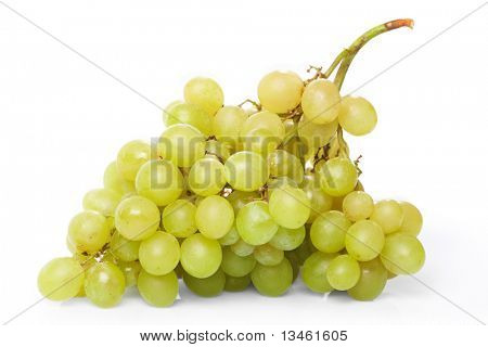   흰색 바탕에 녹색 포도의 지점