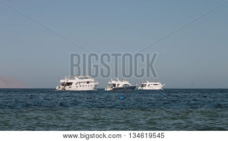 White Ship Moving By The Red Sea