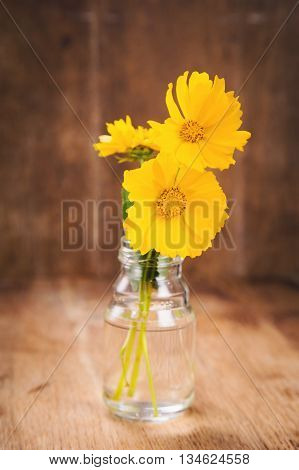 some beautiful yellow flowers in glass vase on wooden background
