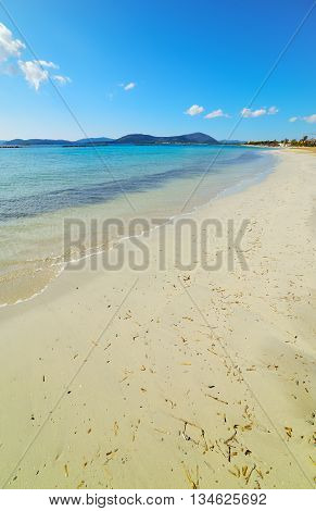 a sandy shore in Alghero in Sardinia