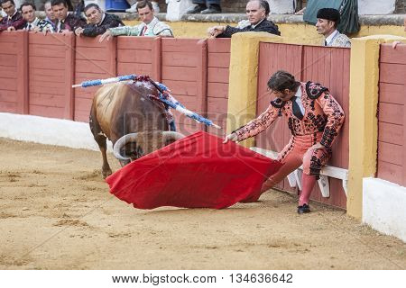 Andujar Spain - September 10 2011: The Spanish Bullfighter Juan Jose Padilla bullfighting with the crutch in the Bullring of Andujar Spain