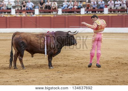 Andujar Spain - September 10 2011: The Spanish Bullfighter David Valiente bullfighting with the crutch in the Bullring of Andujar Spain