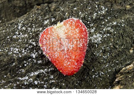 dessert of strawberries strawberries in powdered sugar.