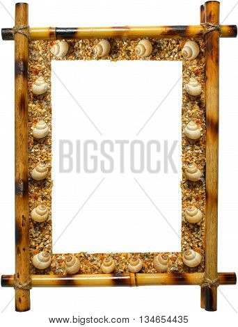 Photoframework from sea cockleshells isolated on white background