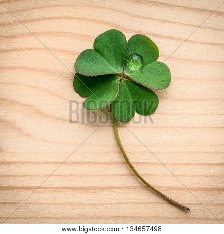 Clovers Leaves On Wooden Background.the Symbolic Of Four Leaf Clover The First Is For Faith, The Sec