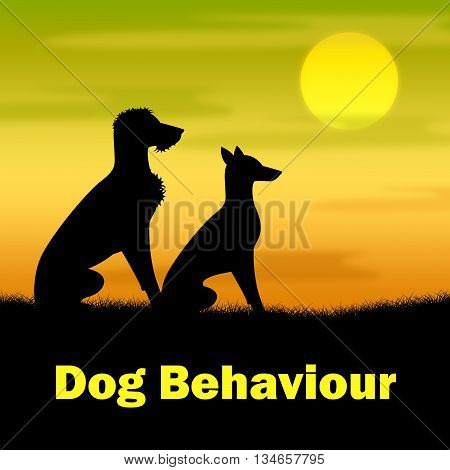 Dog Behaviour Means Actions Landscape And Pup