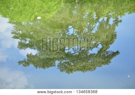 Wooden water mirror close-up with bright blue sky