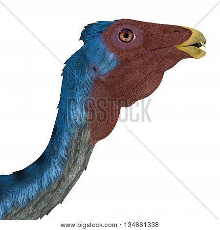 Caudipteryx Dinosaur Head 3D Illustration - Caudipteryx was a peacock-sized oviraptor dinosaur that lived in China during the Cretaceous Period.