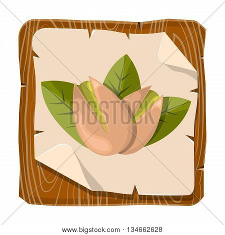 Pistachios colorful icon. Vector illustration in cartoon style