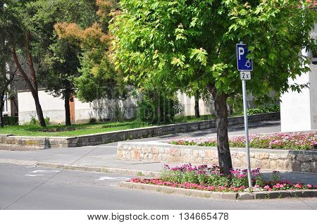 Disabled parking place and sign with flowers