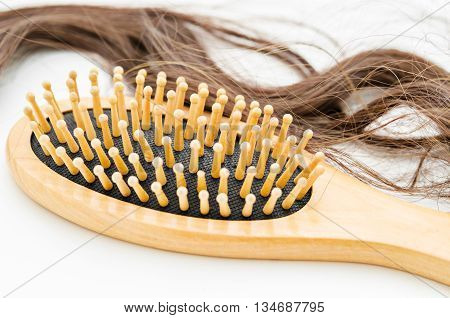 Close-up of a brush with lost hair on it on white background