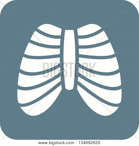 System, ribcage, shape icon vector image. Can also be used for human anatomy. Suitable for mobile apps, web apps and print media.
