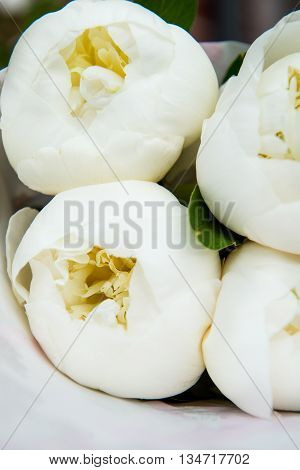 Close Up Of Beautiful White Peonies In A Bouquet