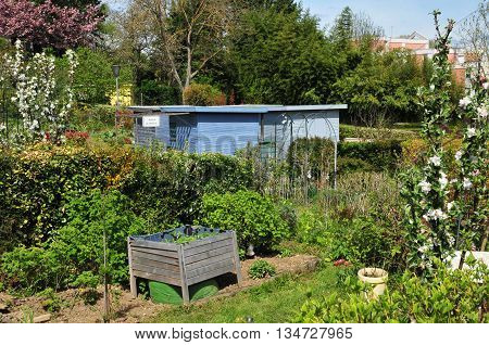Verneuil sur Seine France - mai 2 2016 : the allotment garden in spring