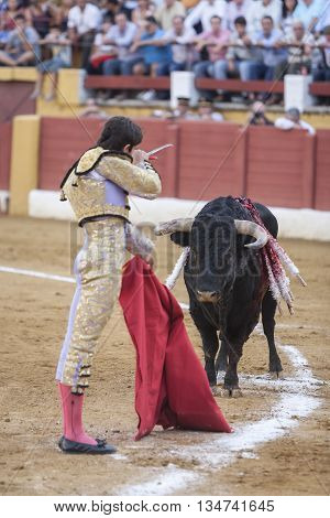 Andujar Spain - September 10 2009: The Spanish Bullfighter Sebastian Castella preparing to enter to kill the bull in the Bullring of Andujar Spain