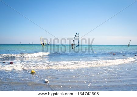 Windsurfing sails on the blue sea riding the wind