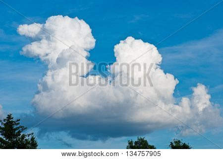 clouds on the sky like runnig poodle dog