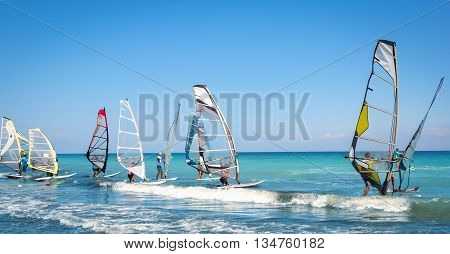 Windsurfing sails on the blue sea riding the wind