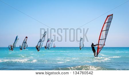 Windsurfing sails on the blue sea riding the wind