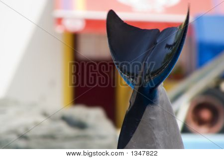  Ogon Dolfin