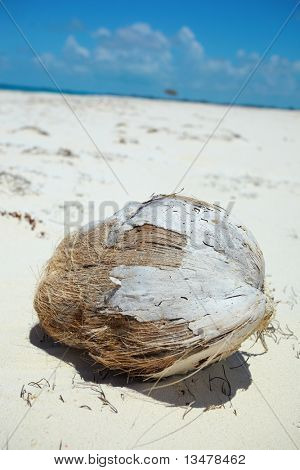 kokos på stranden