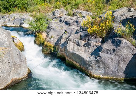 Alcantara River Reserve