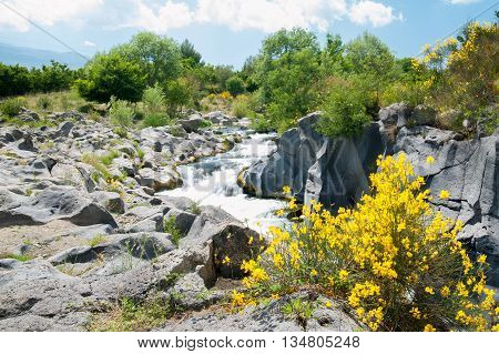 Alcantara River Reserve