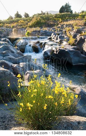 Alcantara River Reserve