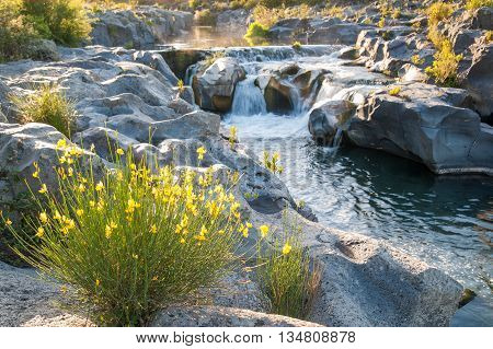 Alcantara River Reserve