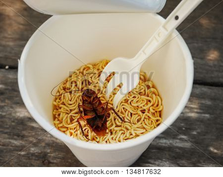 Close up cockroah dead in noodle cup