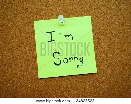 I'm sorry in green post note on wooden board