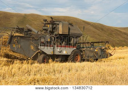 Harvester removes the ripened wheat crop on the field on the backdrop of picturesque mountains