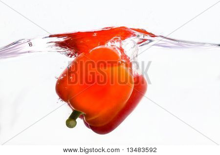Papryka słodka Splash