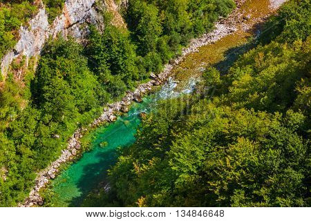 River Tara canyon - Montenegro - nature travel background