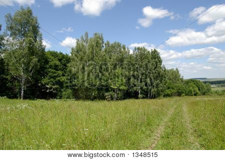  Straße entlang einem Holz