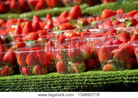 Abstract Colourfull Strawberries Market Stall Scene Dorset England